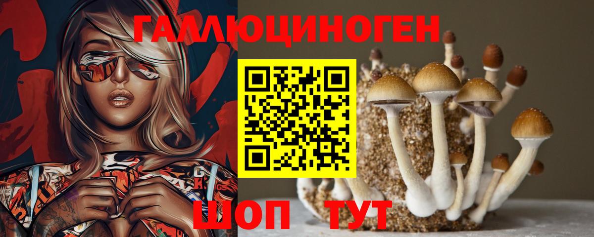 Псилоцибиновые грибы Cubensis Ковров