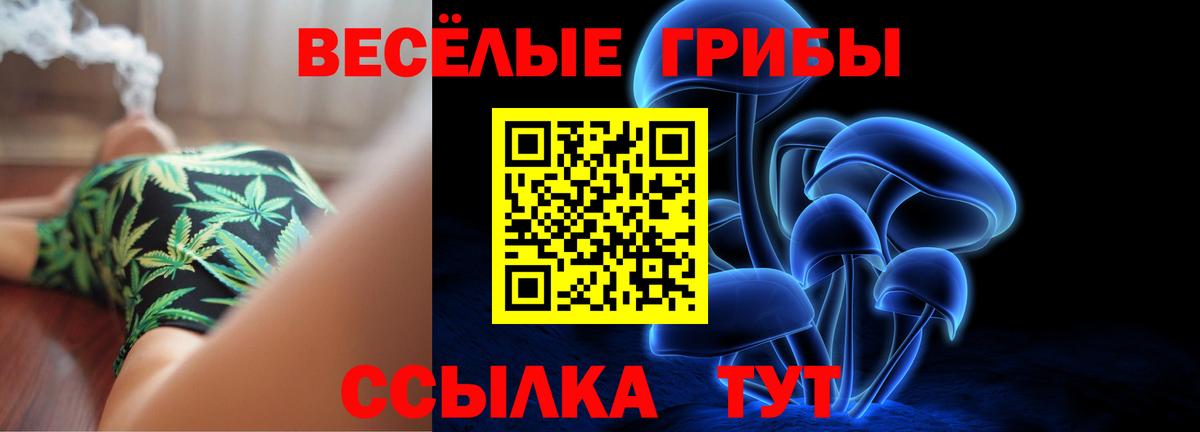 Галлюциногенные грибы Cubensis  Псилоцибиновые грибы мухоморы  Вход с VPN  закладка  Ковров 